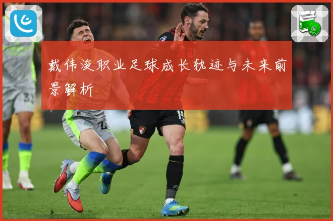 戴伟浚职业足球成长轨迹与未来前景解析