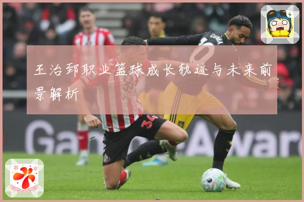 王治郅职业篮球成长轨迹与未来前景解析